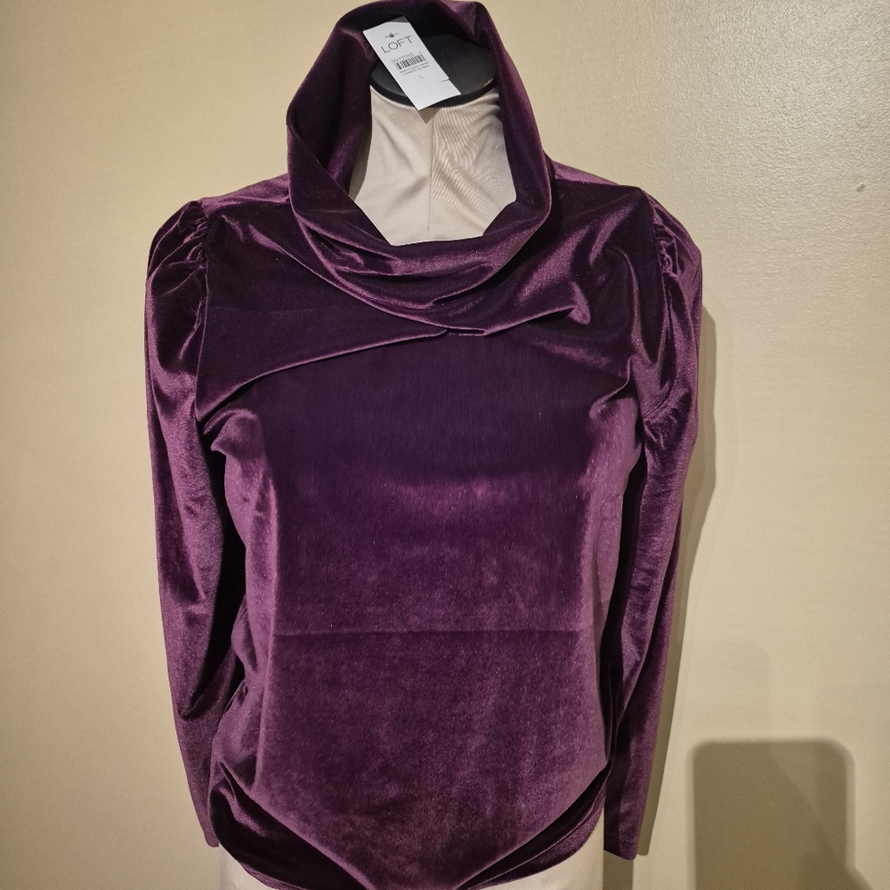 Anne Taylor Loft velvet blouse